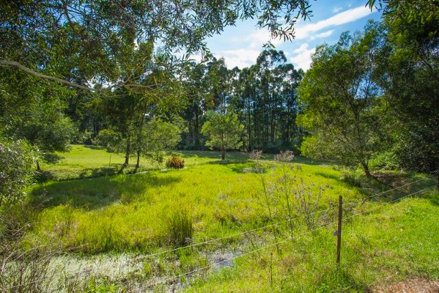 633 Main Creek Road, Dungog, NSW 2420