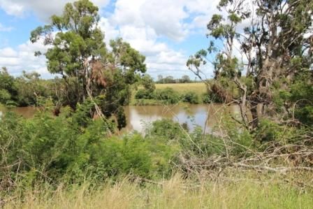1053 Coraki Road, Ruthven, NSW 2480