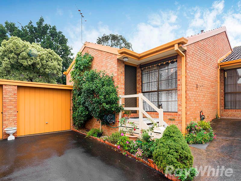1A Jean Street, Cheltenham VIC 3192