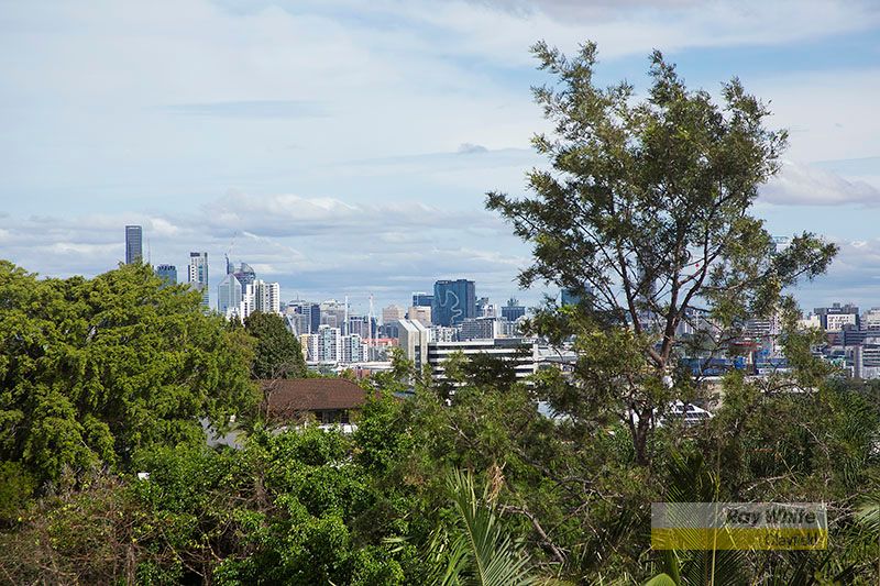 87 Bellevue Terrace, Clayfield QLD 4011