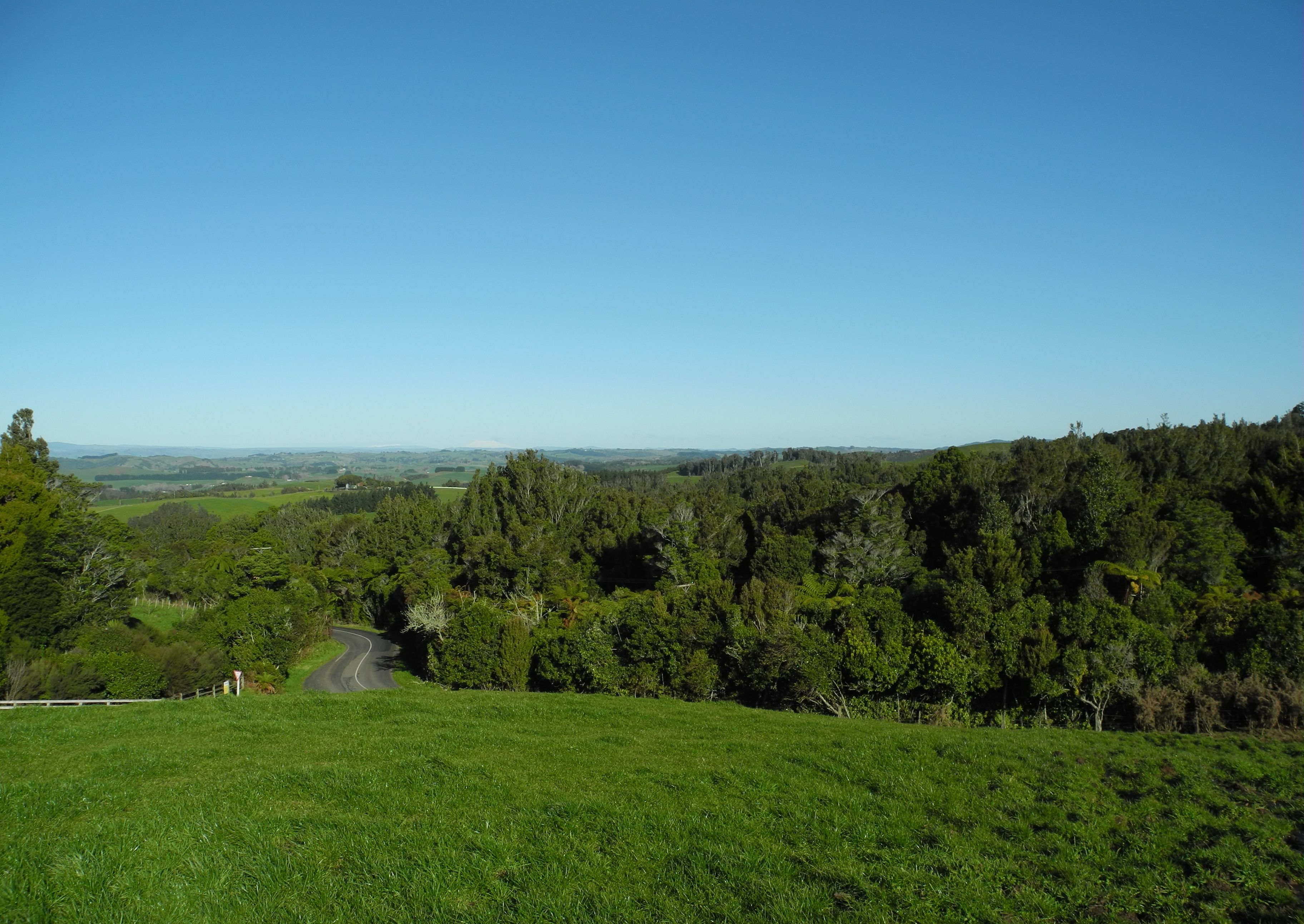 254H (Lot 10) Pekanui Road, Pirongia, Waipa District