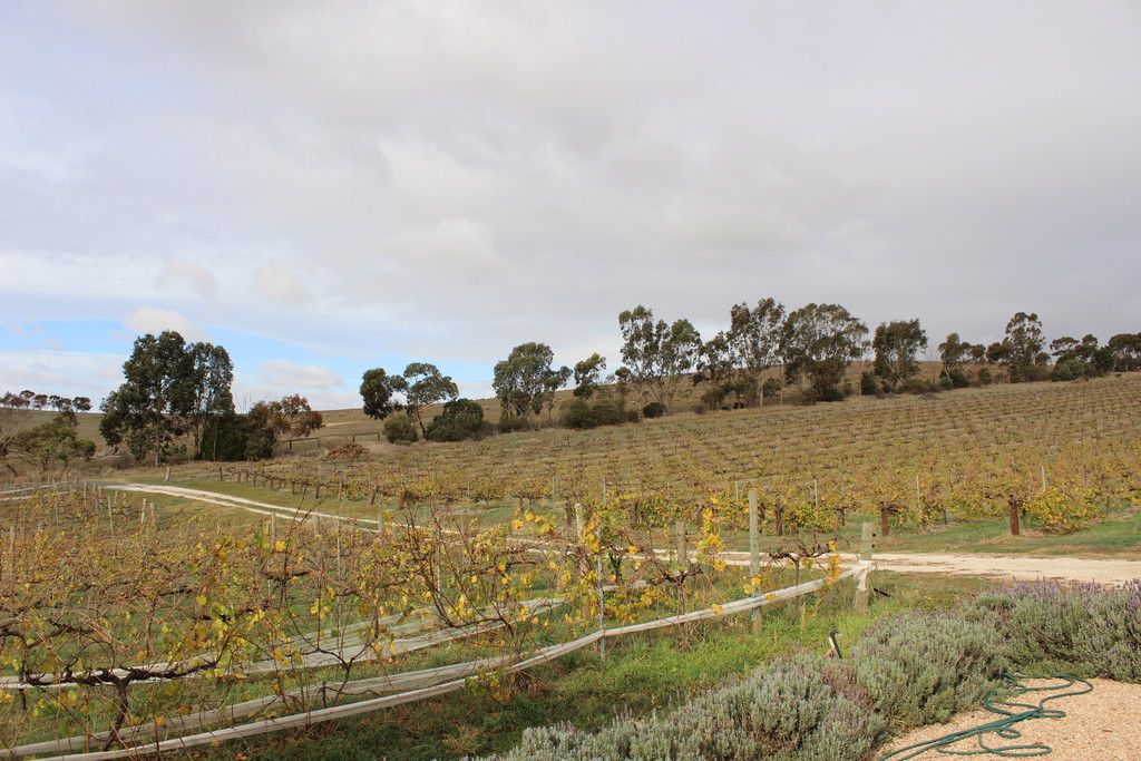54 Smith Road, Leasingham, SA 5452