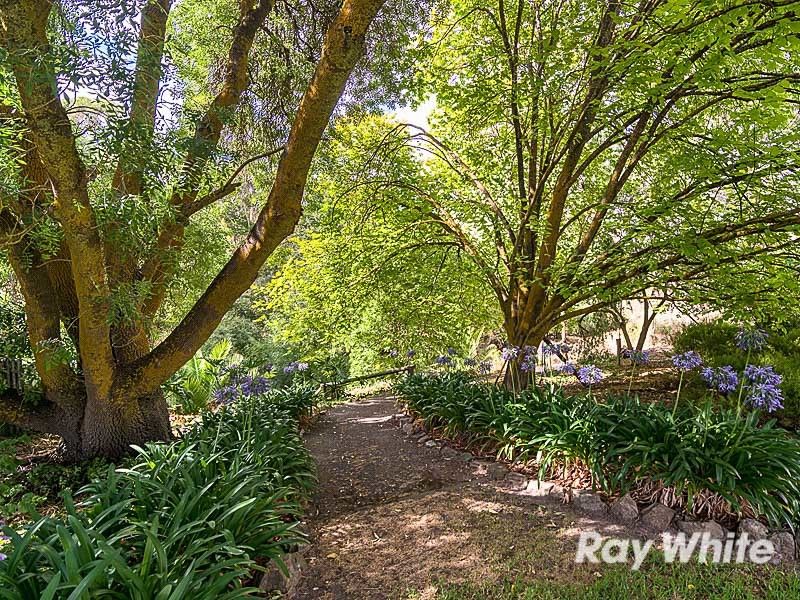 13 Todd Street, Macclesfield, SA 5153