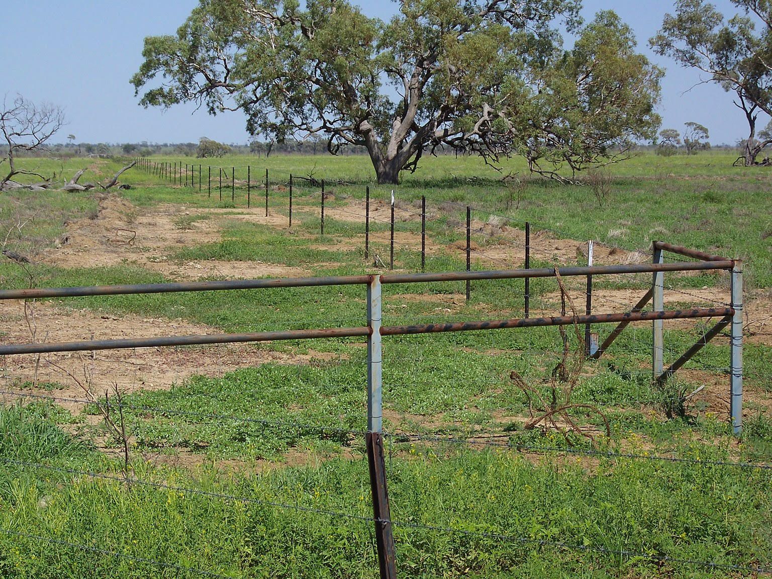 , Longreach, QLD Rural • Ray White