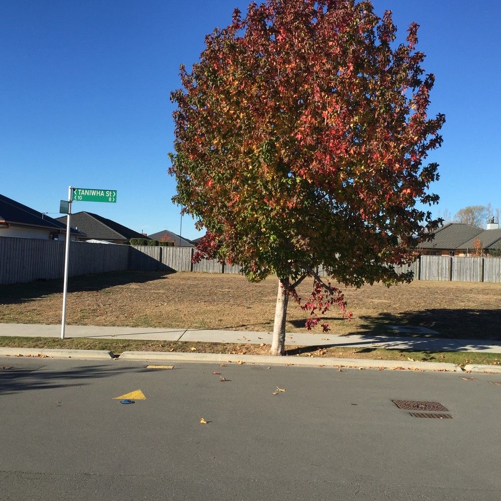8 Taniwha Street, Pegasus, Waimakariri District