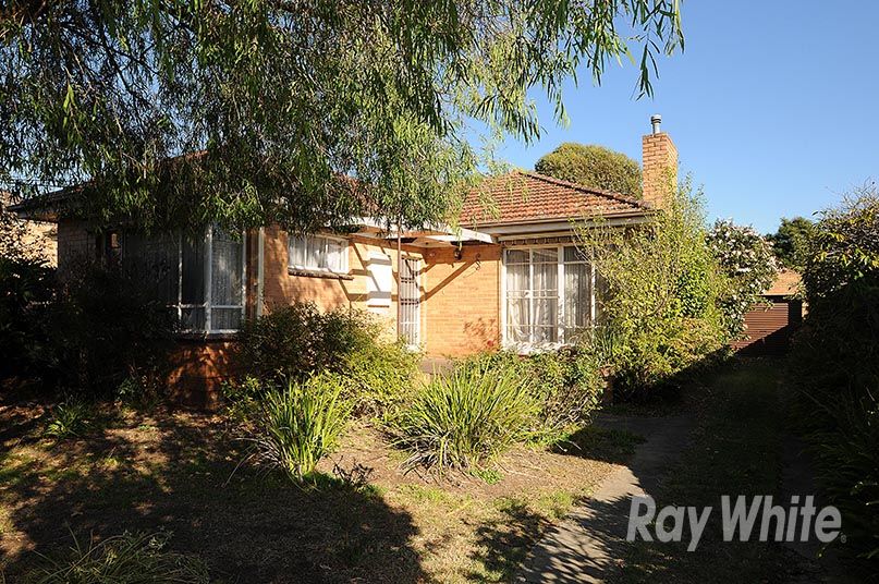 3 Glenmore Grove, Mount Waverley, VIC 3149
