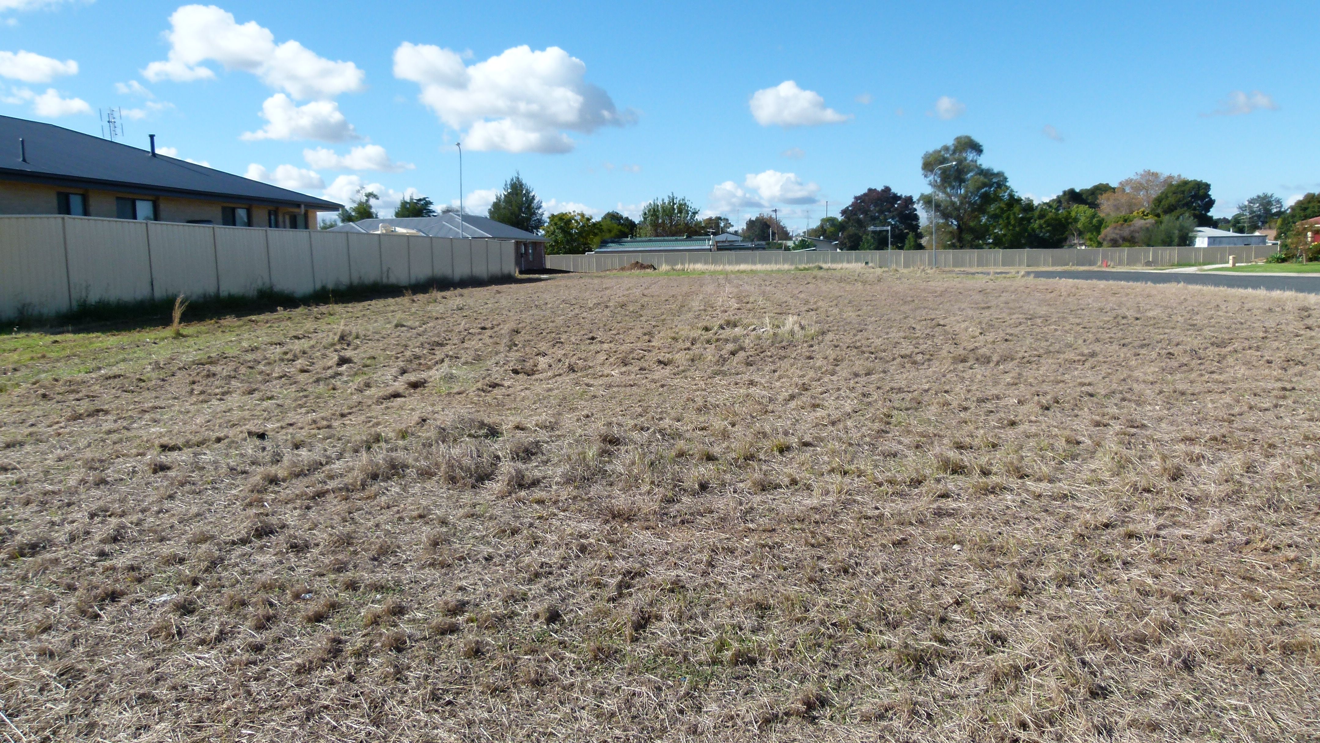 2 Dunstan Close, Forbes, NSW 2871