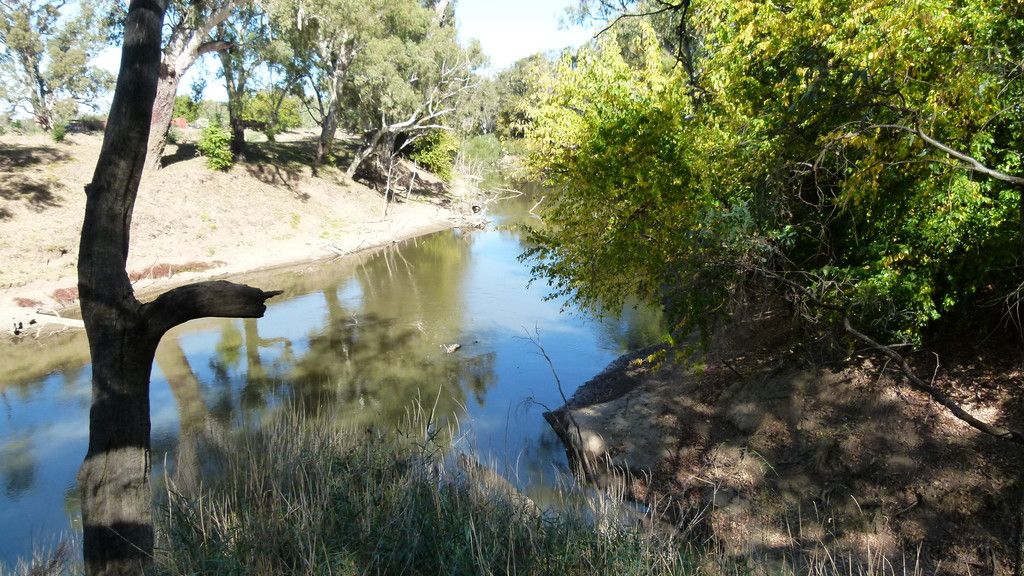 73 Gaymards Lane, Forbes, NSW 2871