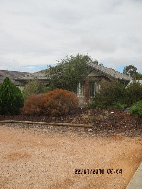 3 Padman Court, Berri, SA 5343