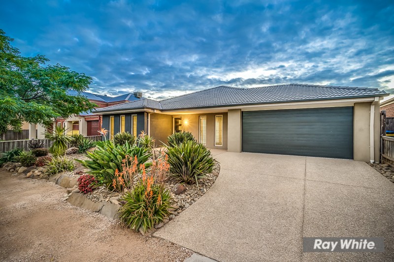 46 Homestead Avenue, Tarneit, VIC 3029