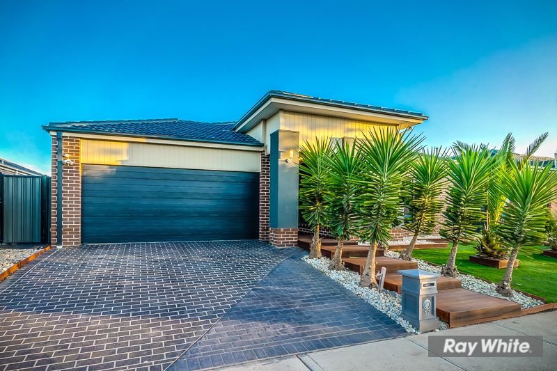 17 Edsall Street, Tarneit, VIC 3029