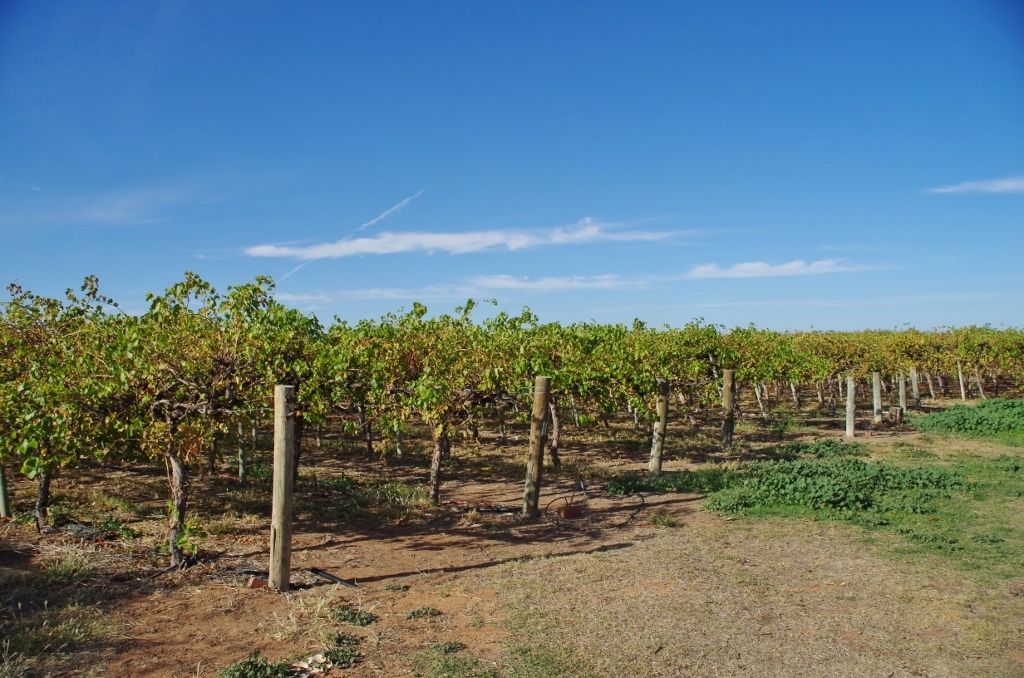 Lot 201 Kulkyne Street, Renmark, SA 5341