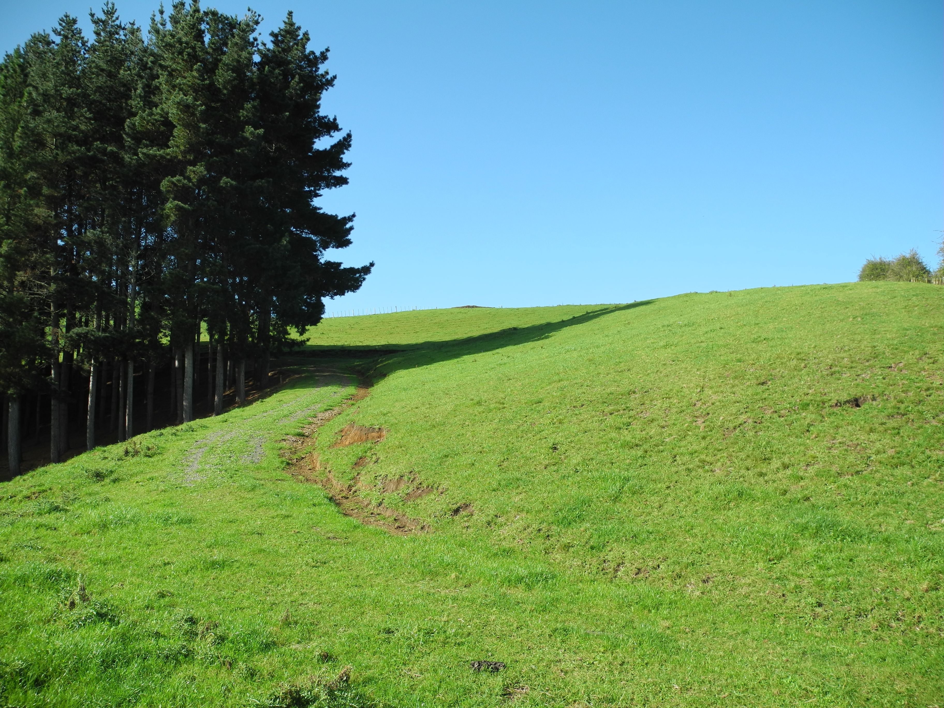 632 Kakepuku Road, Te Awamutu, Waipa District