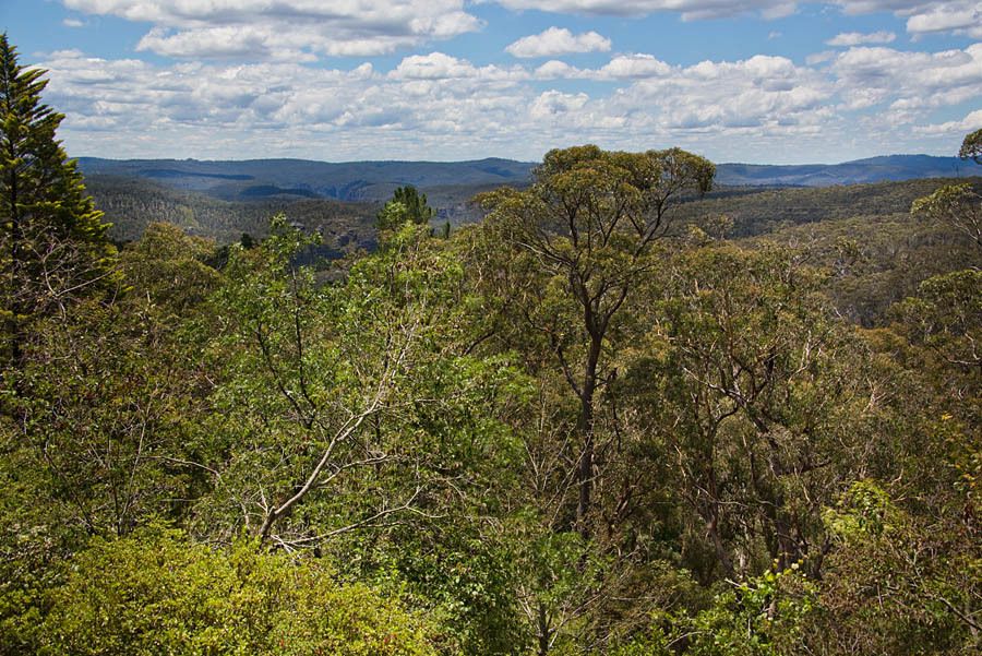 46 Sylvania Street, MOUNT VICTORIA, NSW 2786