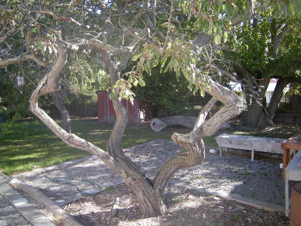 707 Old Tai Tapu Road, Tai Tapu, Selwyn District