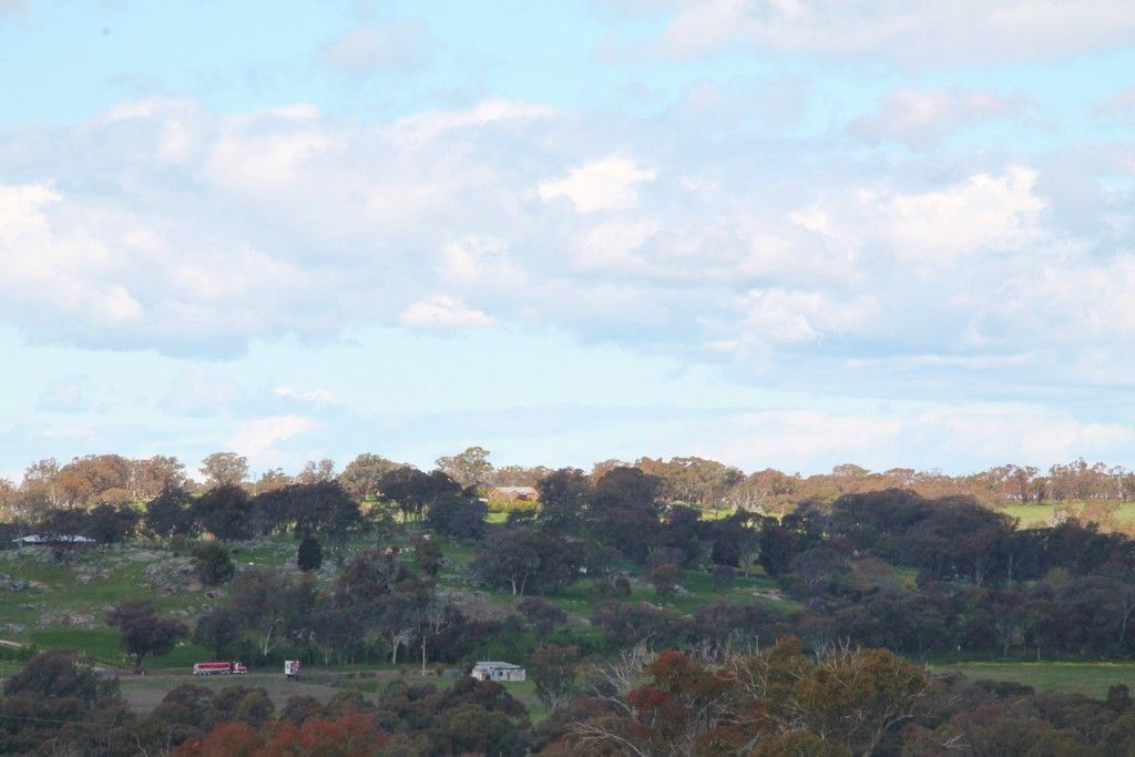 605 Spring Creek Road, YOUNG, NSW 2594