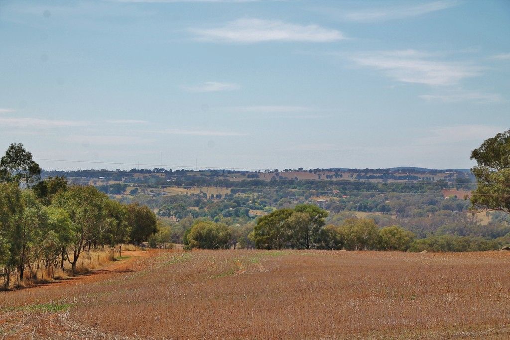 405 (Lot 3) Spring Creek Road, Young, NSW 2594