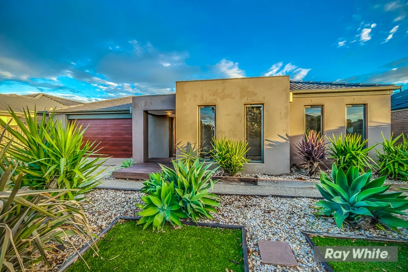 49 Daintree Boulevard, Tarneit, VIC 3029
