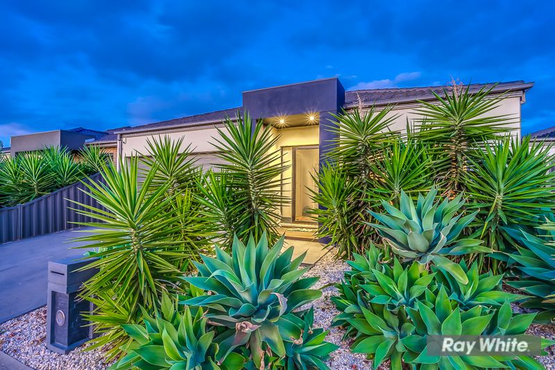 20 James Cook Drive, Truganina, VIC 3029