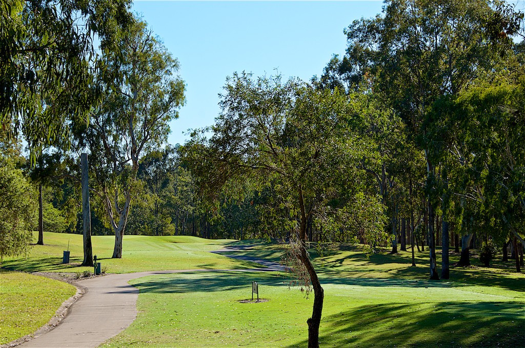 6 Adeliza Court, Arundel, QLD 4214