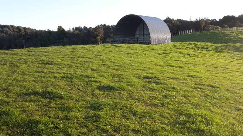 254G (Lot 11) Pekanui Road, Pirongia, Waipa District