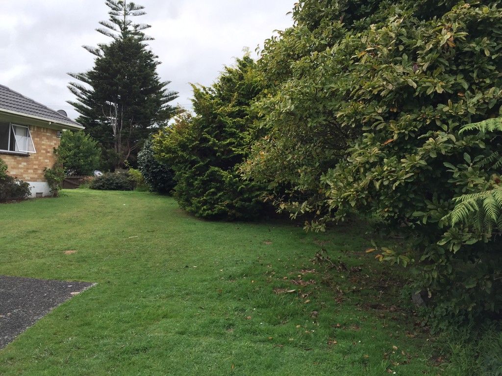Papakura, Papakura