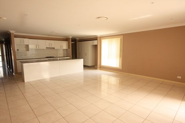 11 Westringia Avenue, Mount Annan, NSW 2567