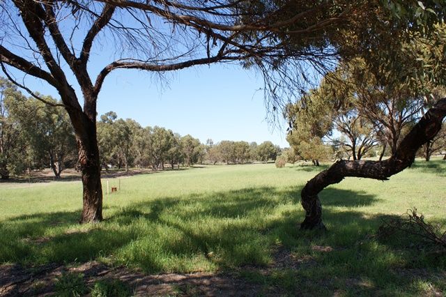 Lot 8 Sheoak Road, SPRINGFIELD, WA 6525