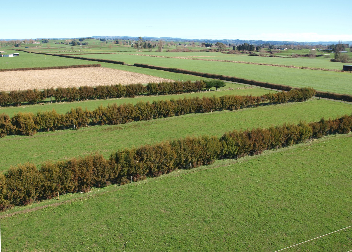 1571 Cherry Lane, Otorohanga, Otorohanga District