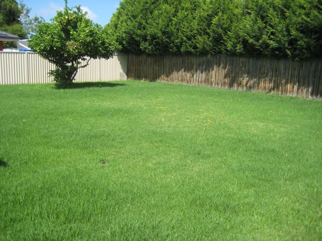 57 Prince Charles Street, Clayton, VIC 3168