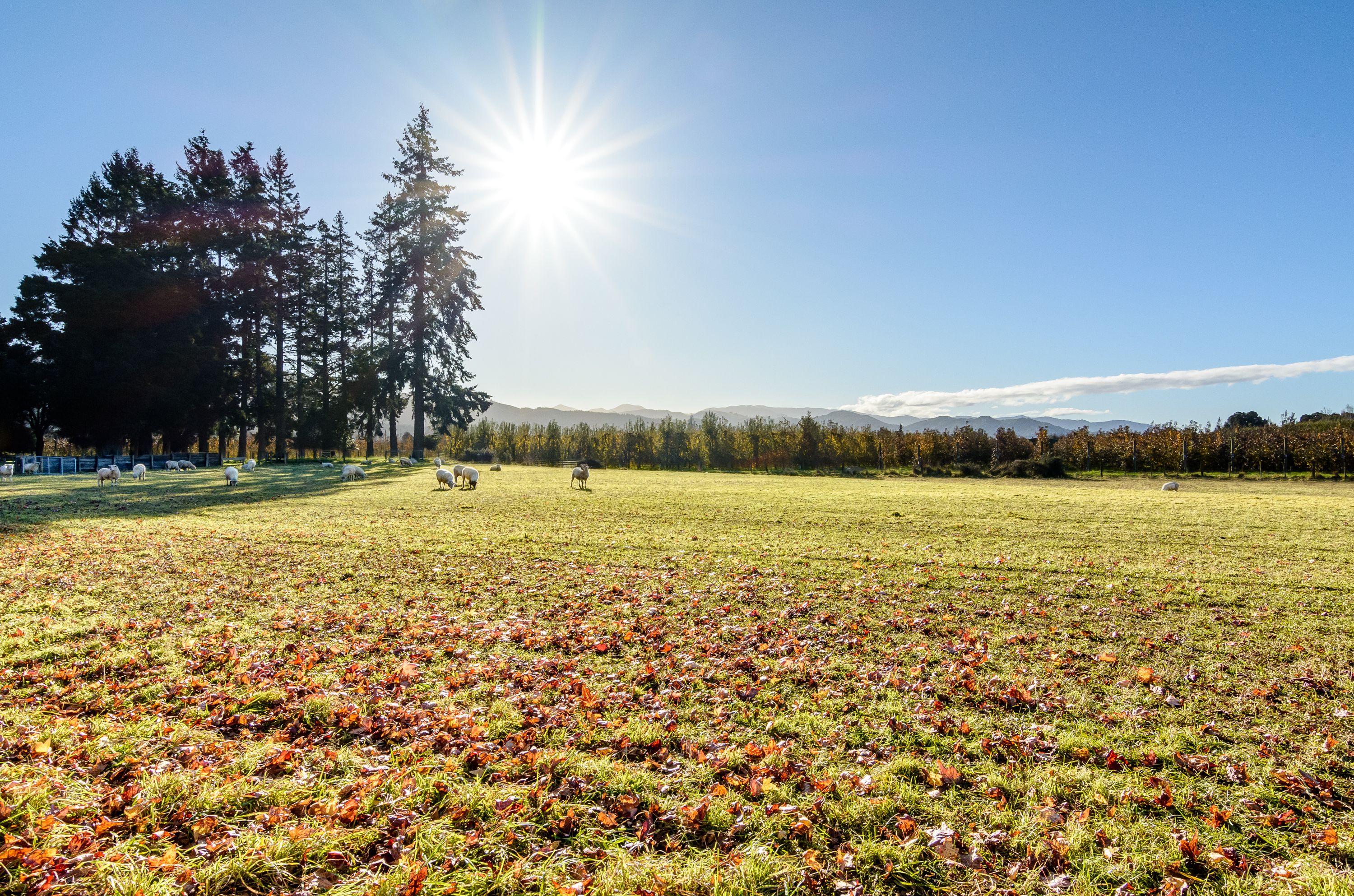 0 Marchwood Park Road, Motueka, Tasman District