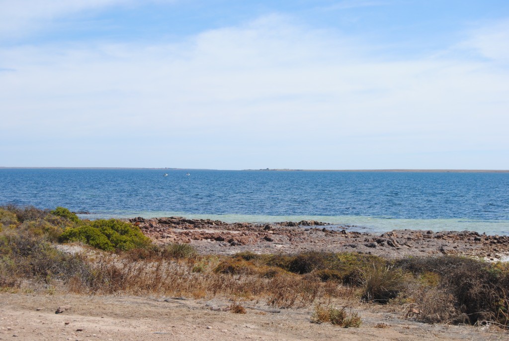 Lot 29 Cardigan Castle Circuit, Port Victoria, SA 5573