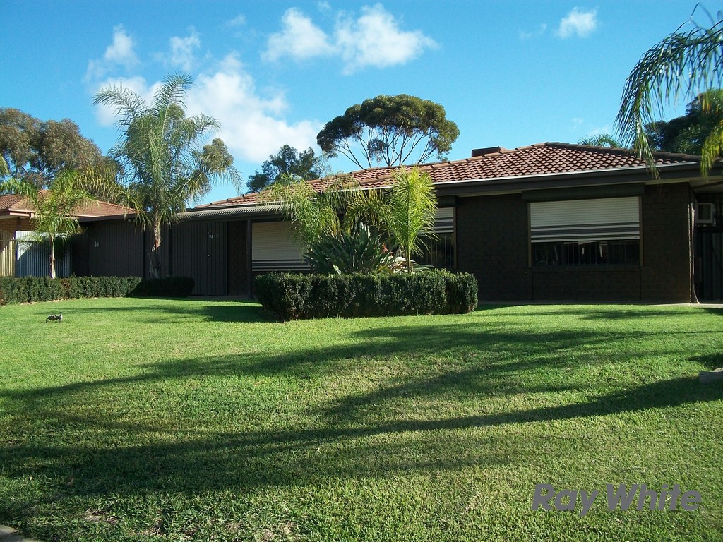 3 Brooks Avenue, Willaston, SA 5118