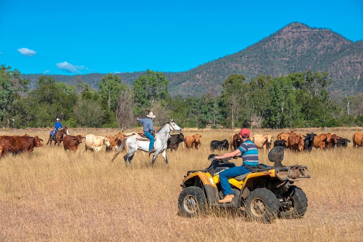 1397 Grandchester-Mount Mort Road, Mount Mort, QLD 4340