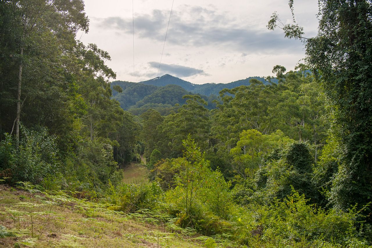 459 Mount Coxcomb Road, Upper Lansdowne NSW 2430