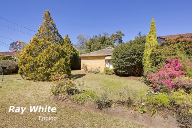 7 Hamer Street, Epping, NSW 2121