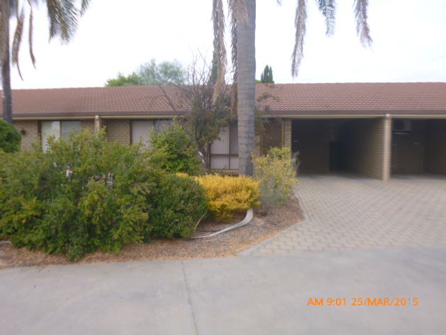 3/7 Reginald Street, Loxton, SA 5333