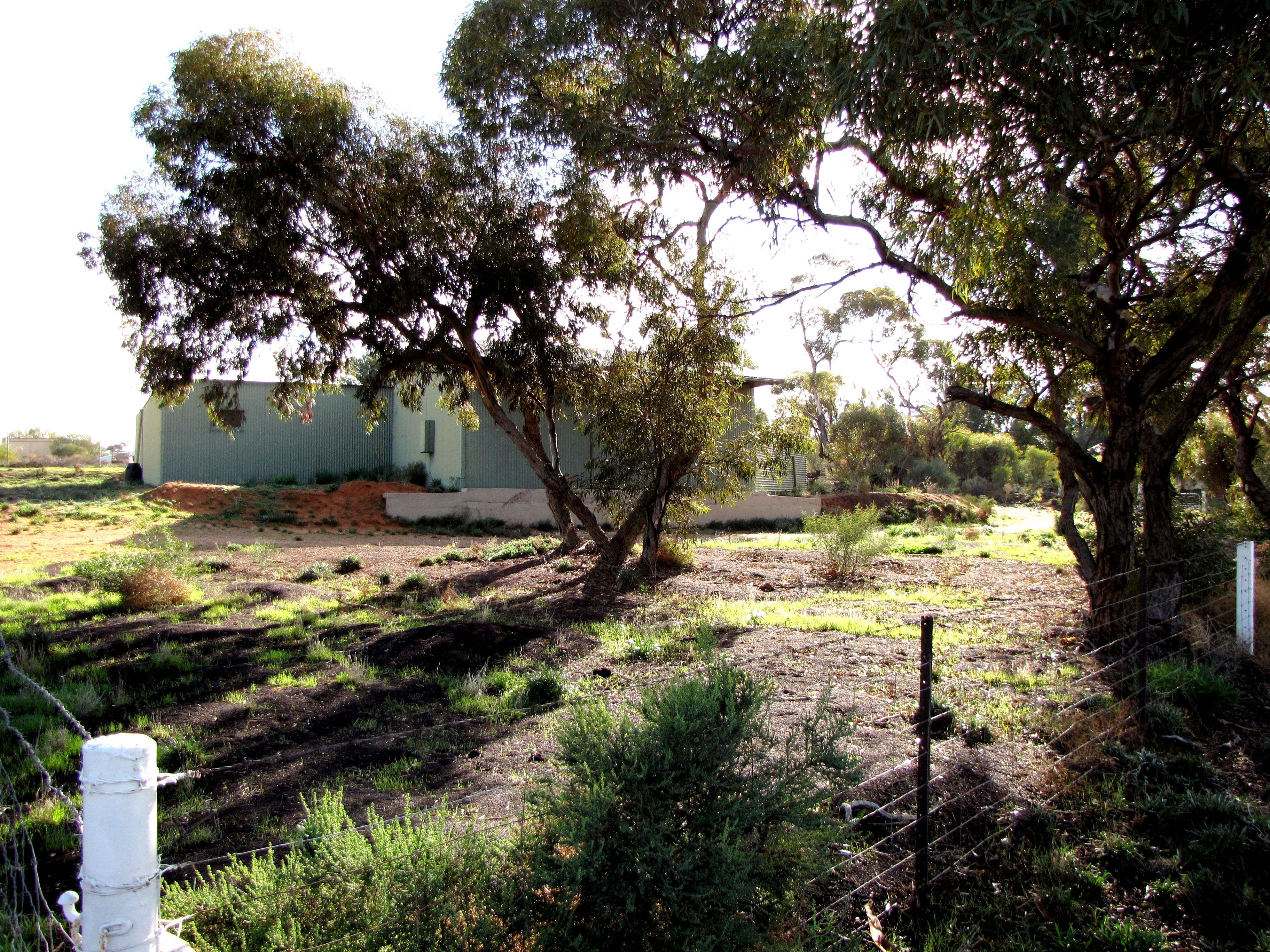Lot 424 CURTIS Road, Waikerie, SA 5330