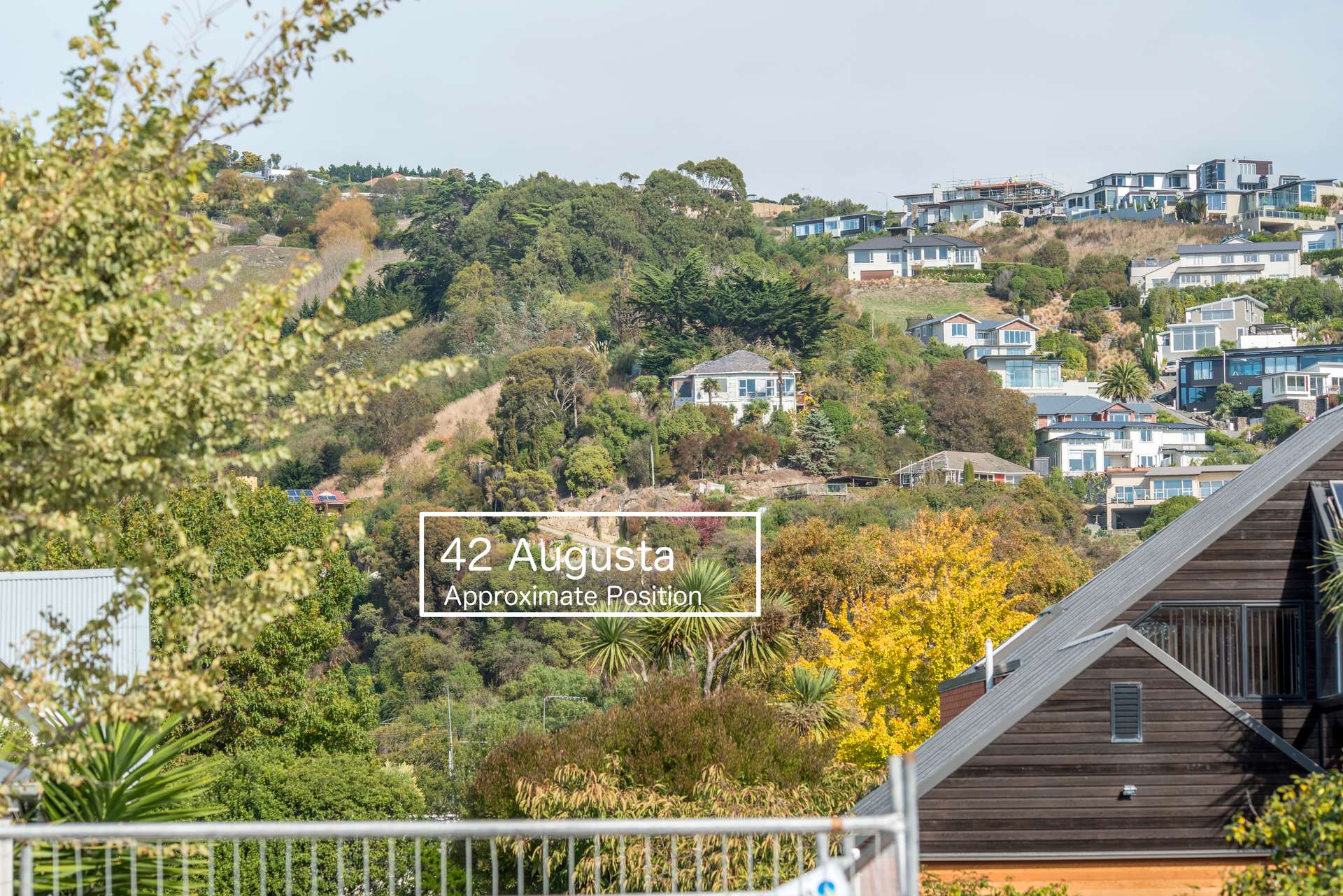 42 Augusta Street photo 6