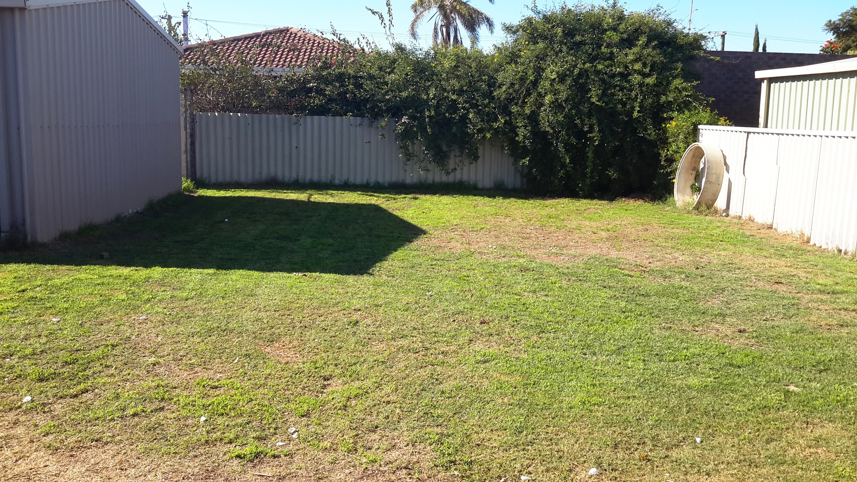 26 Dodd Street, Dongara, WA 6525