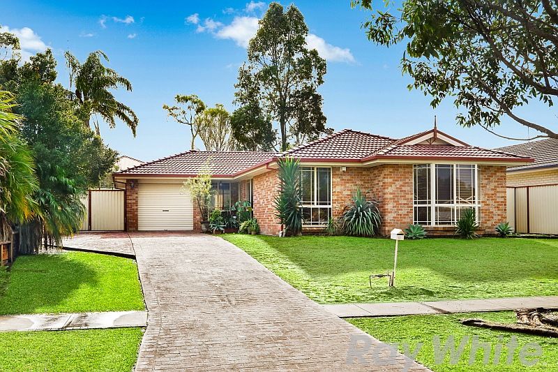 12 Hamlyn Road