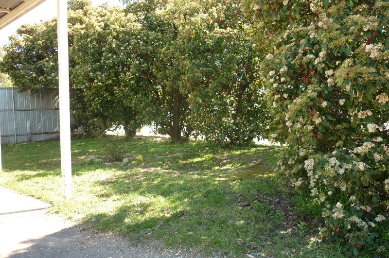 1/6 Charman Avenue, Euroa, VIC 3666