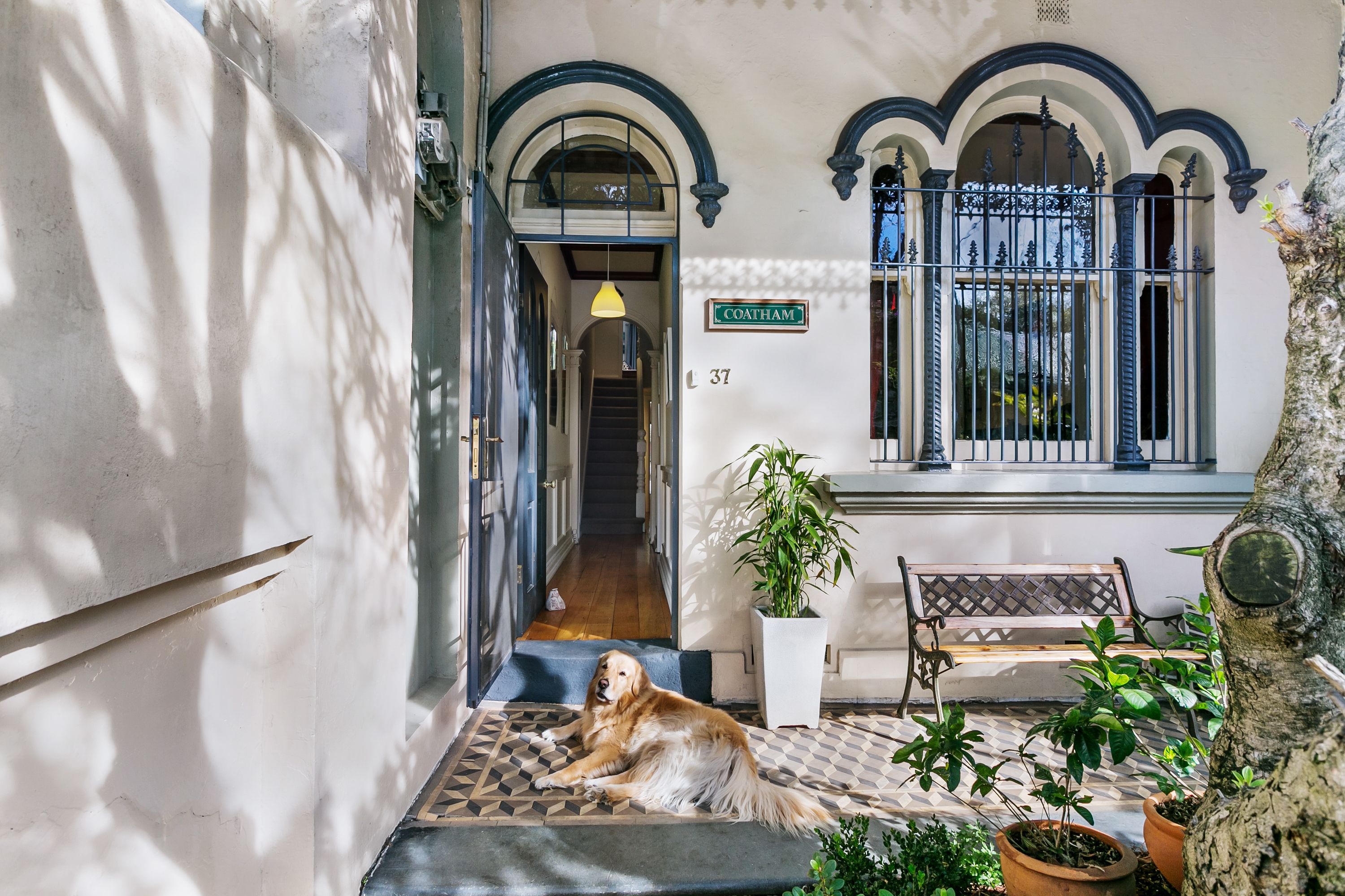 37 Newman Street, Newtown, NSW 2042
