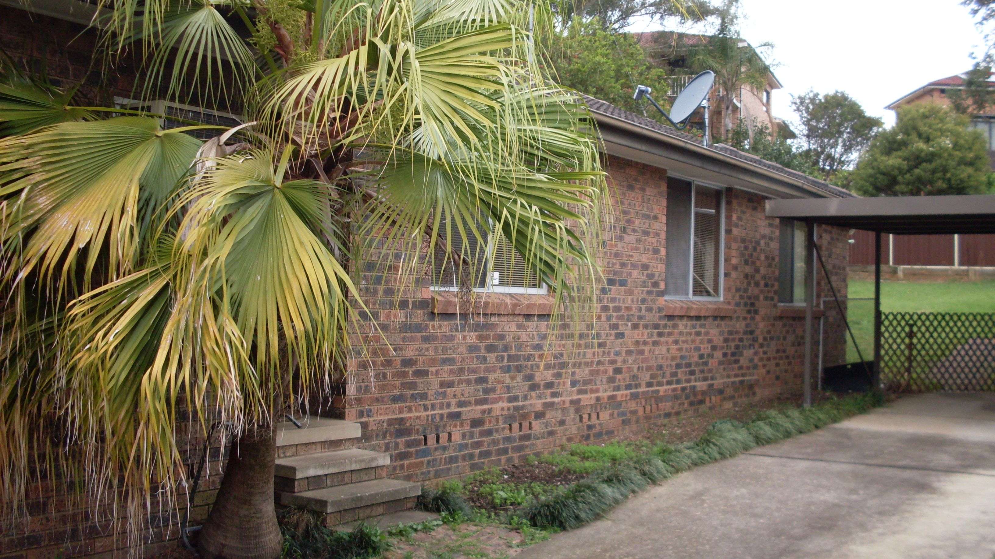 58 Peppermint Crescent, Kingswood, NSW 2747