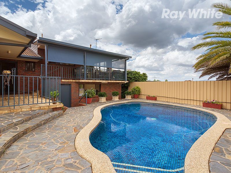 403 Halehaven Crescent, Lavington, NSW 2641