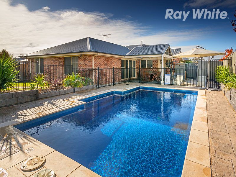 8 Swallow Street, Thurgoona, NSW 2640