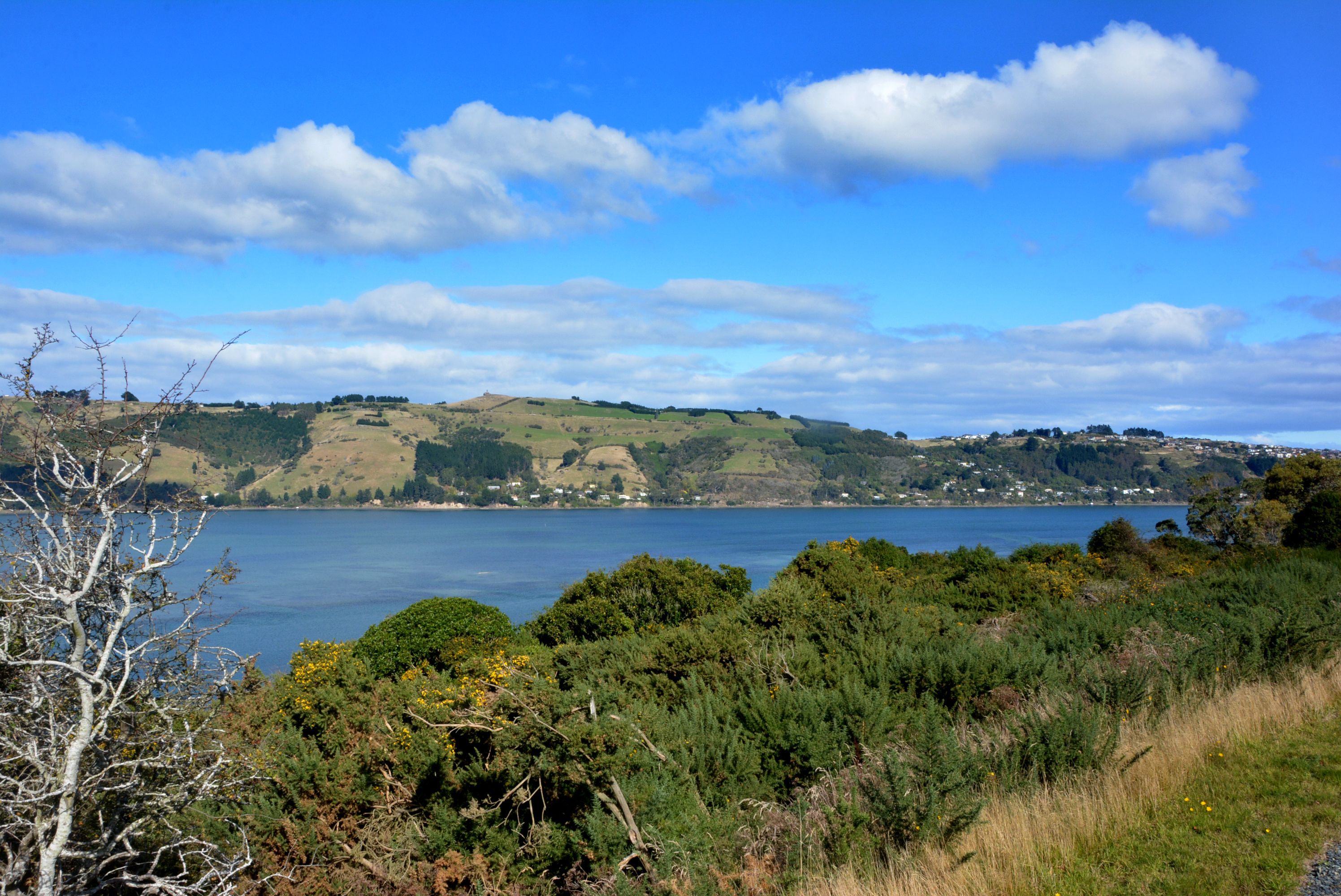 10 - 16 Fern Road, Maia, Dunedin City