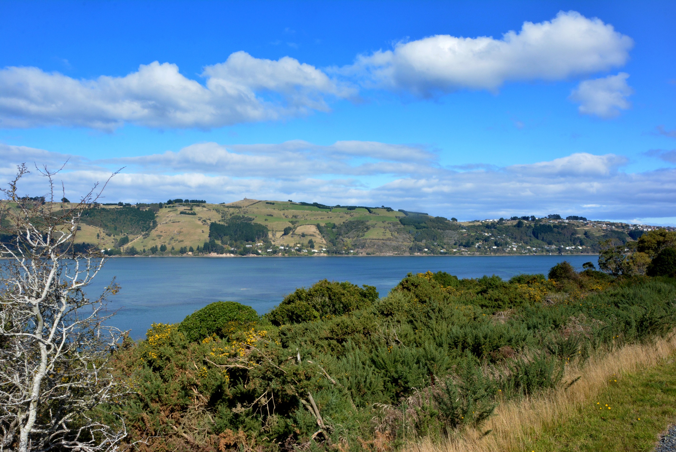 10 - 16 Fern Road, Maia, Dunedin City