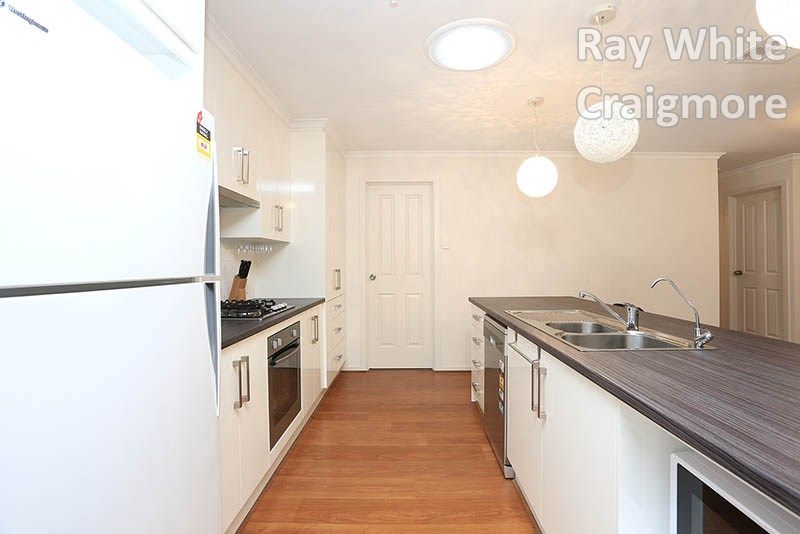 13 Westminster Drive, Elizabeth Park, SA 5113