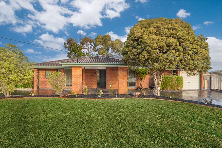 117 Dianne Avenue, Craigieburn, VIC 3064